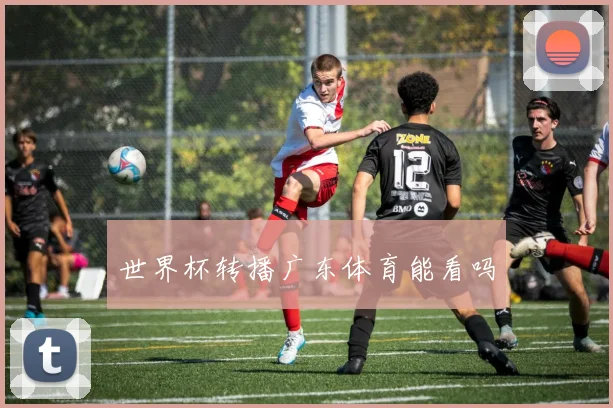 世界杯转播广东体育能看吗