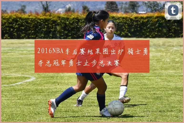2016NBA季后赛结果图出炉 骑士勇夺总冠军勇士止步总决赛