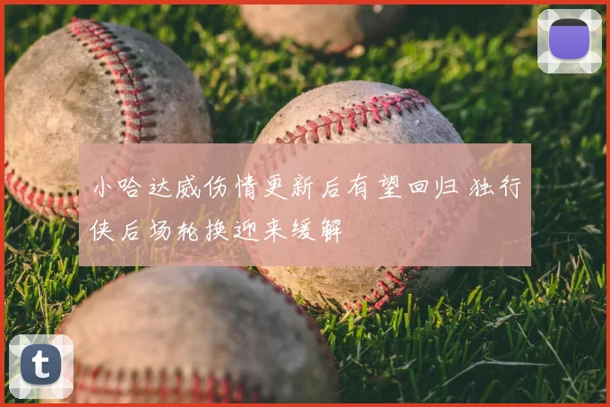 小哈达威伤情更新后有望回归 独行侠后场轮换迎来缓解