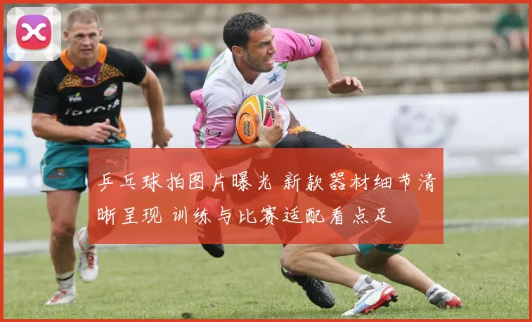 乒乓球拍图片曝光 新款器材细节清晰呈现 训练与比赛适配看点足