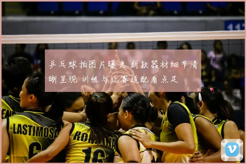 乒乓球拍图片曝光 新款器材细节清晰呈现 训练与比赛适配看点足