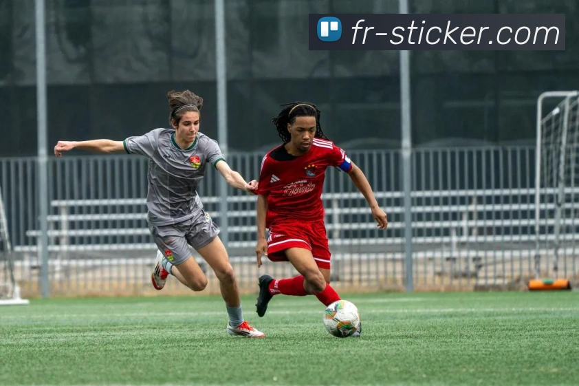 开云网页版入口手机版服务体系